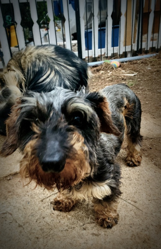 [Image: IMG-2166.jpg]