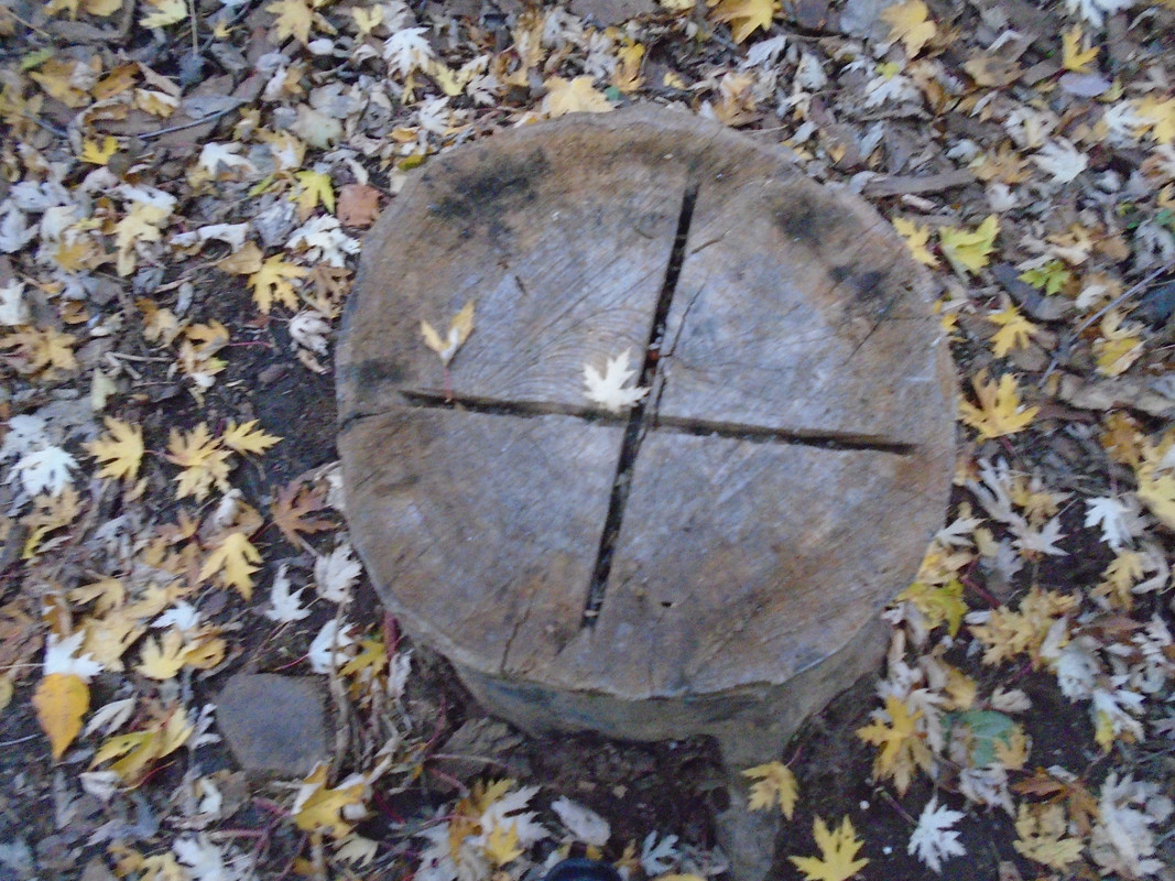 DSC00263.jpg