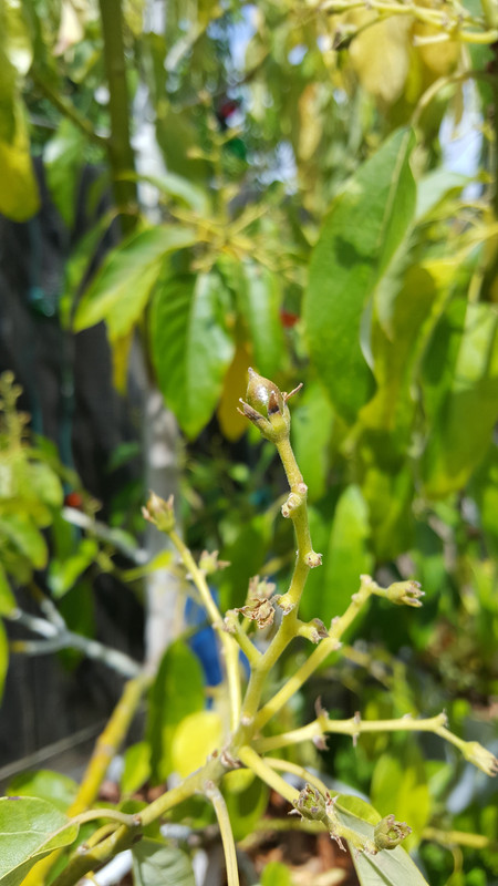 20180505_114918