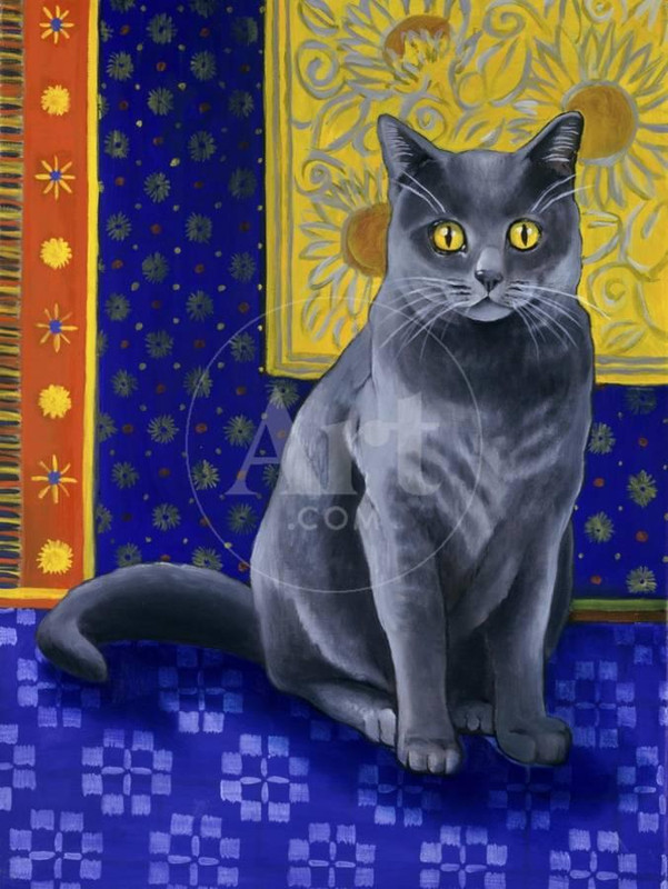 2-chat-chartreux-series-i-u-L-Q1-HAVD50