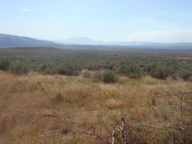 P9041591