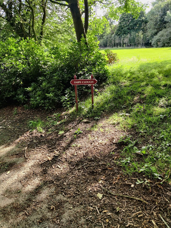 IMG_20200802_170833 stock