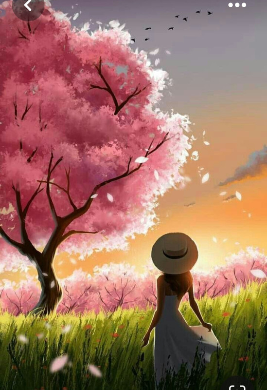 Screenshot_20230519_231050_Pinterest