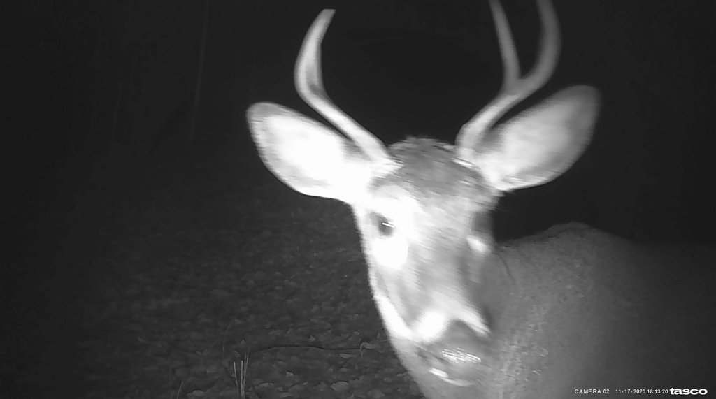 262C1F30-7A6F-4B11-B455-62E18D90AD8A