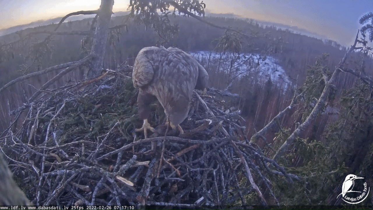 Webp.net-gifmaker (2)