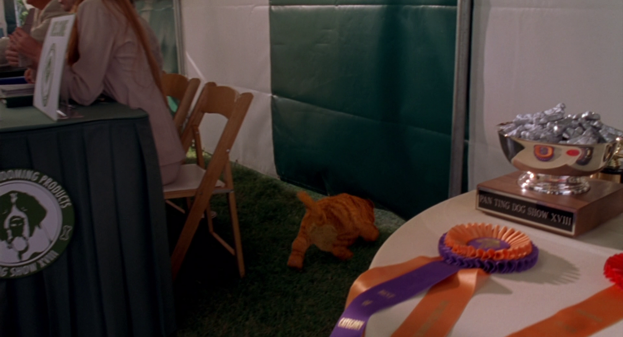 vlcsnap-2024-12-26-10h37m11s259