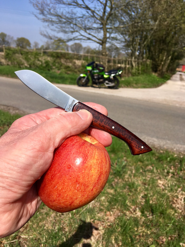 53409E8E-FF3B-4EEA-8CB9-EAF27002A02F