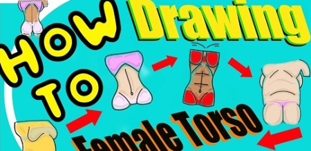 Learn To Draw a Female Torso (For Artists)