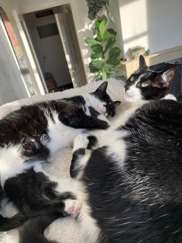 7C37E735-A139-46BB-BB10-47A71227BB8F