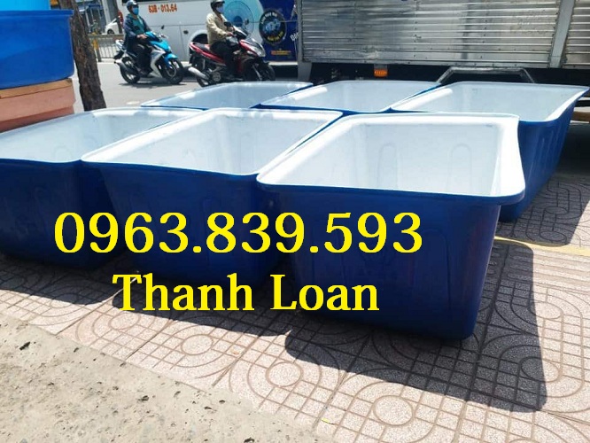 Thùng chữ nhật 750L nuôi cá, thùng nhựa dưỡng cá Koi cảnh / 0963.839.593 Ms.Loan Thung-nuoi-ca-750l-chu-nhat