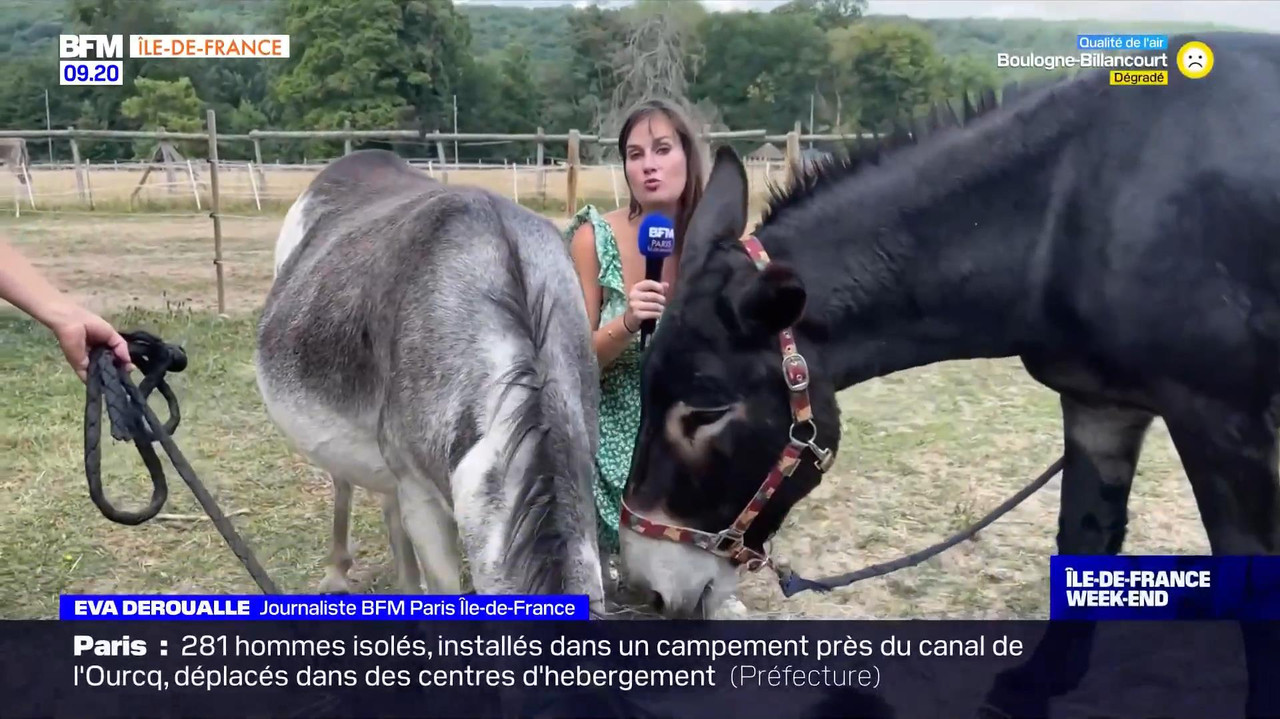 vlc-record-2022-08-13-16h22m53s-08.13 - 07.55.51-1.m4v-.mp4_snapshot_05.01_[2022.08.13_17.04.28]