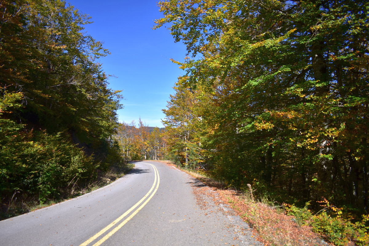 Βάλια Κάλντα (2)