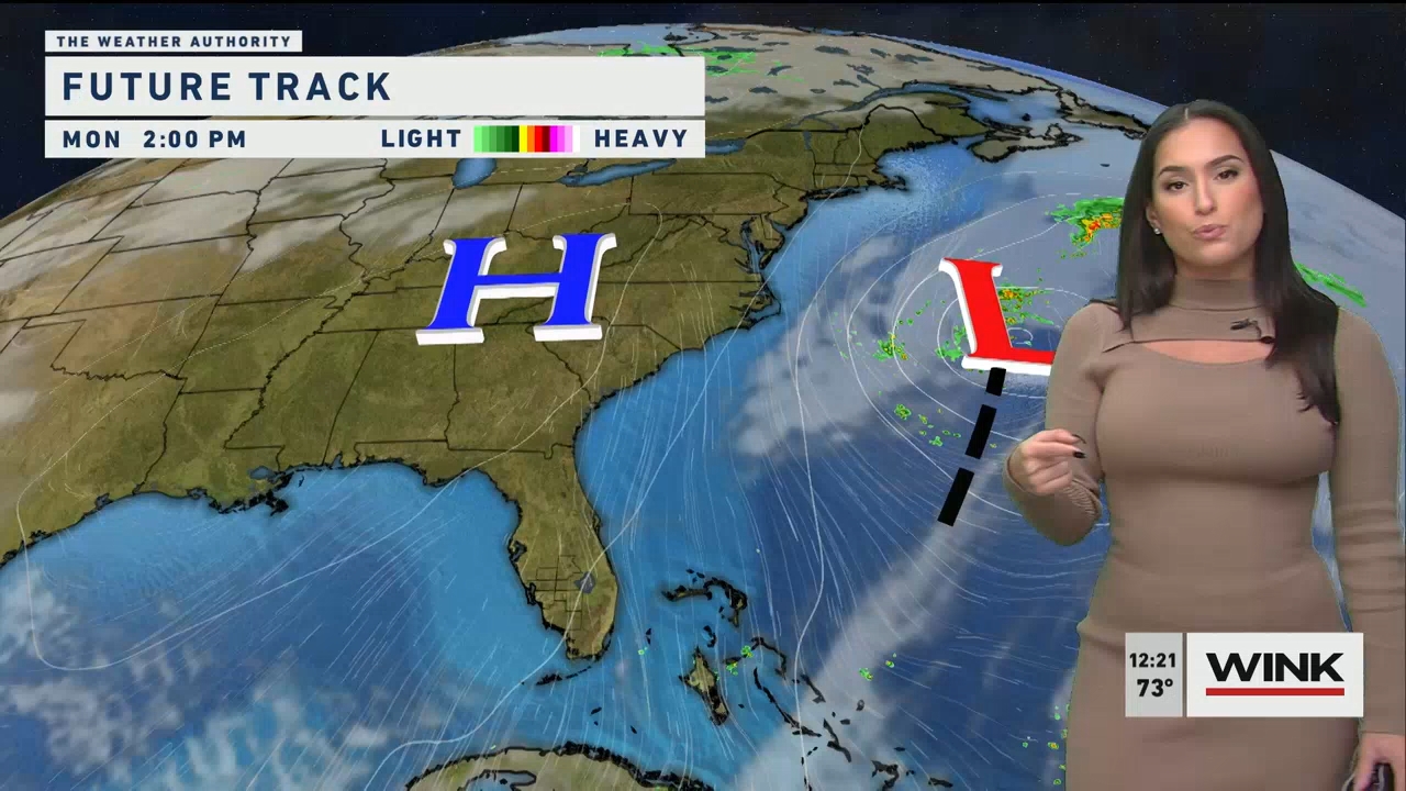 11.08 - 17.00.00 - WINK Noon News. Local news, sports and weather.ts_snapshot_23.34.012