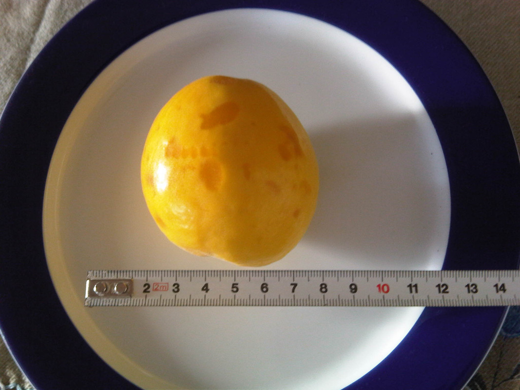 IMG00205-20130607-1944