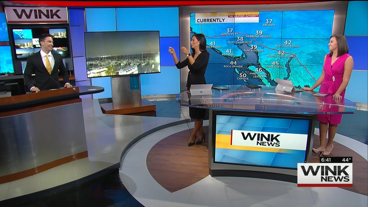 01.10 - 11.00.00 - WINK News @ 6 00AM Sunday..ts_snapshot_00.42.38.563
