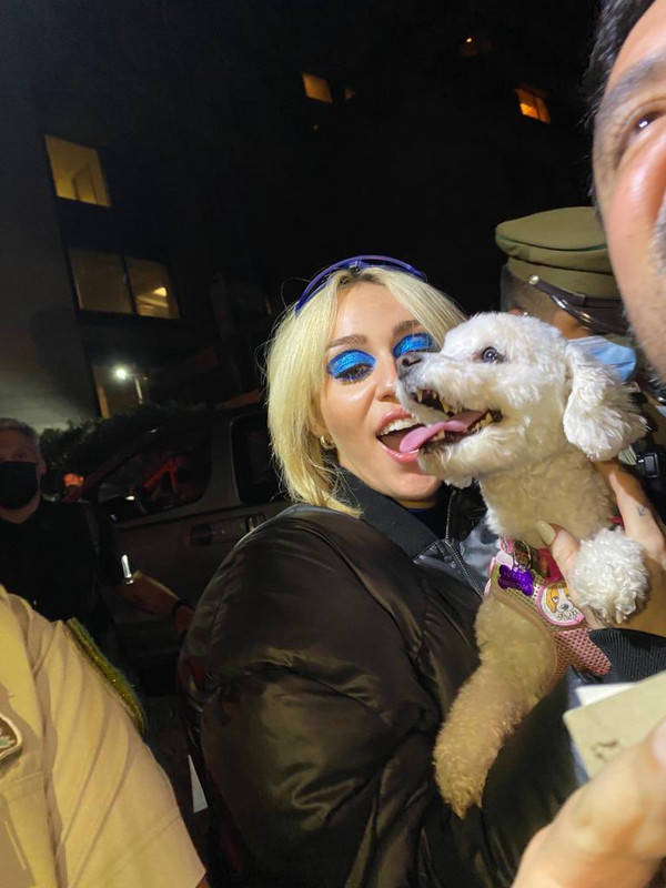 Perrita se emociona al conocer a Miley Cyrus y su reacción se hace viral en TikTok