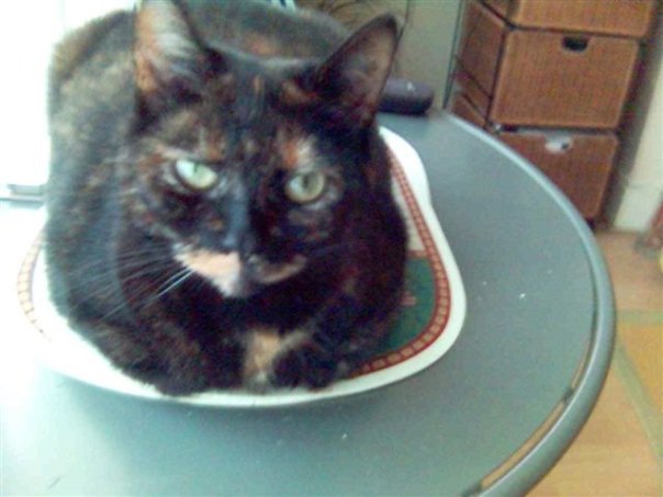 B5BDF516-3798-4B5D-9039-C3277D46AC14