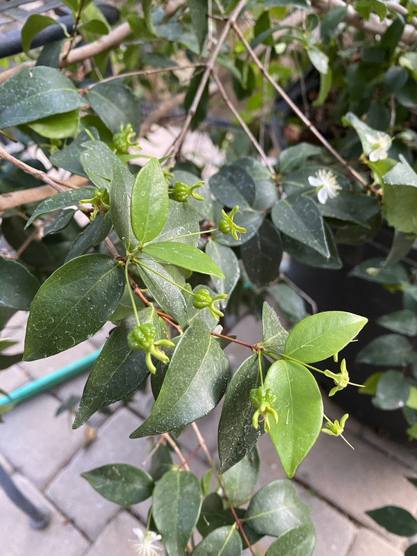 990BC2E2-35C5-44DC-9291-CDFACAF49AE5