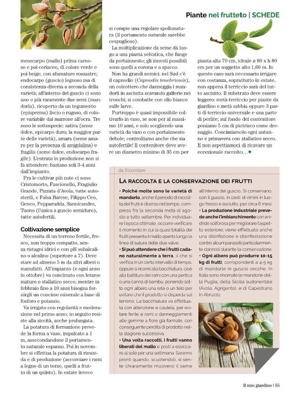 Il Mio Giar Feb-Mar 2022 (12)