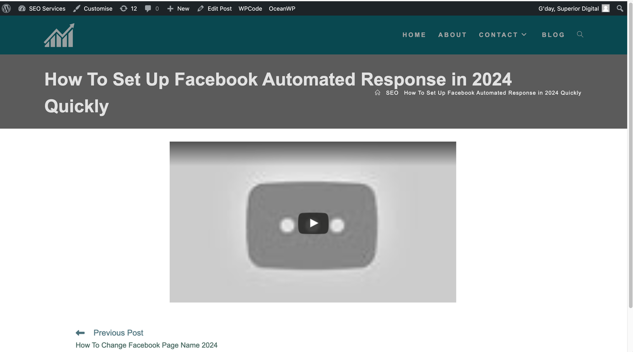 Screen Shot 2024-05-13 at 12.03.15 pm