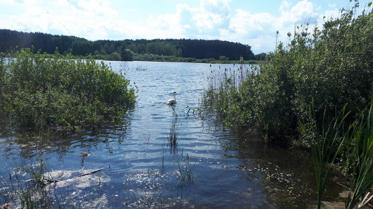 CBAB8DC0-A8D0-409D-B757-ACC8C3462C4B