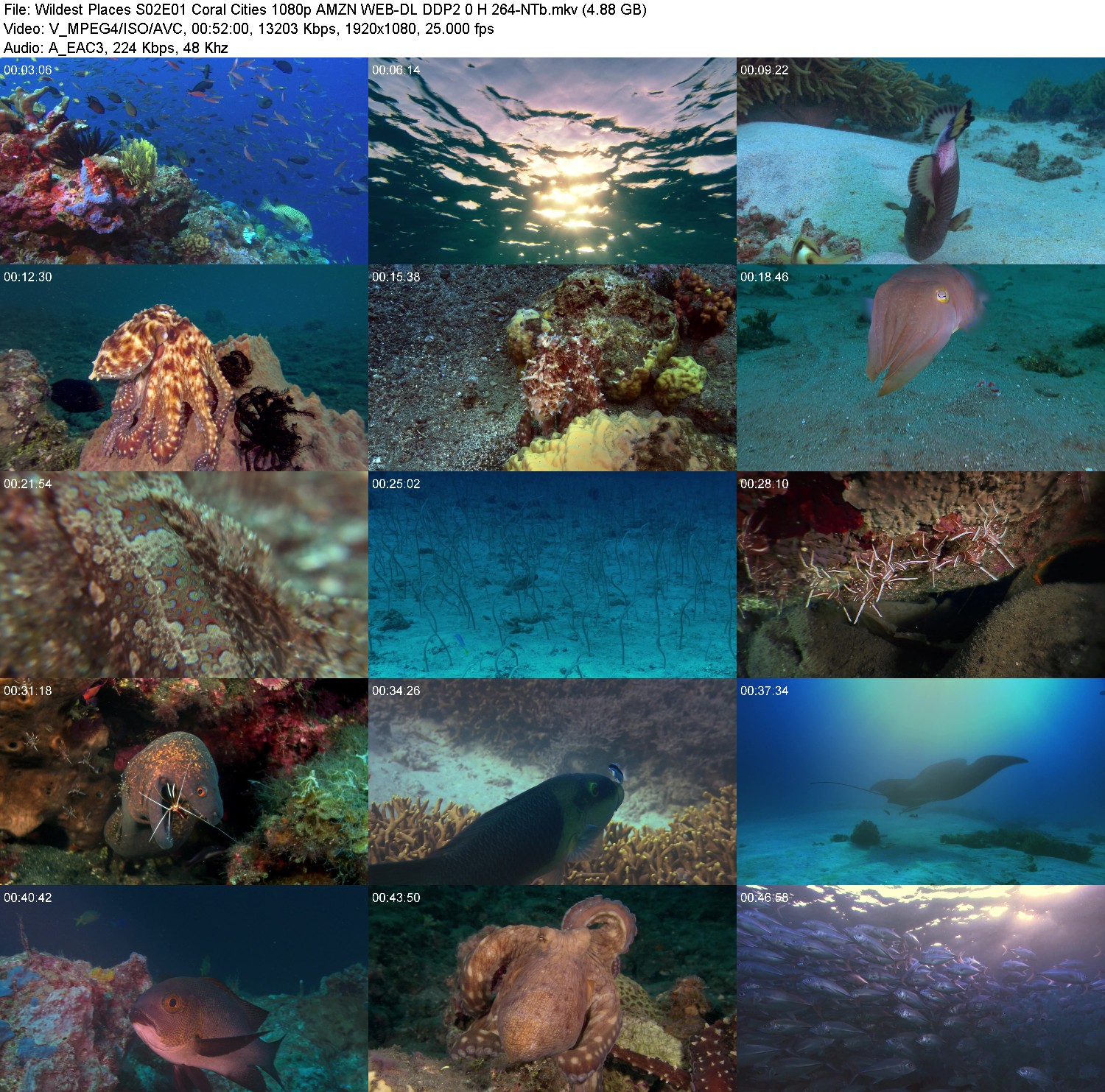 [Image: vetva10d2ty3.jpg]