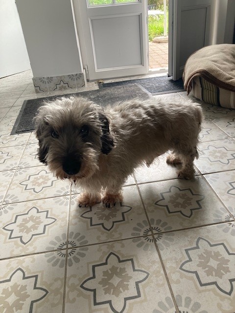 [Image: Gasby-2.jpg]