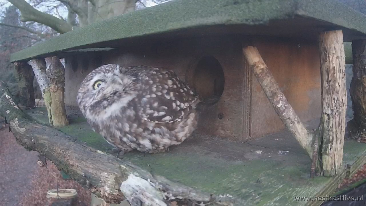 SU NKL wat ik nou weer zie