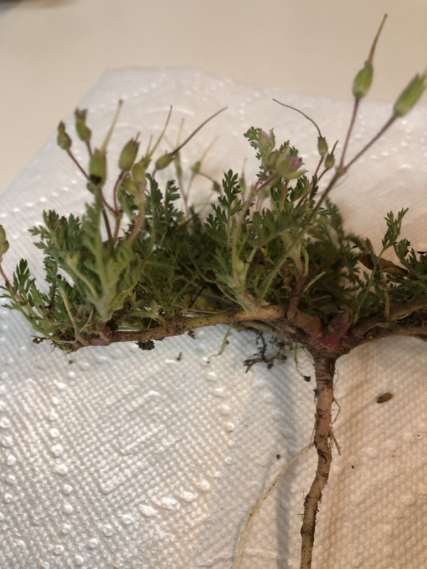 0E07FFE3-15EC-4889-9BA0-8814FA14A007