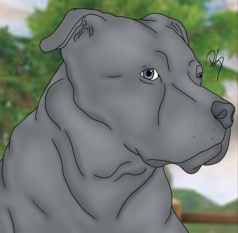 8D9B08CF-7C59-46F4-B956-F140FDCE4603