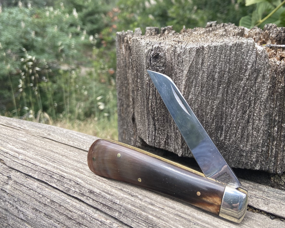 FE23C8AB-BE65-4D3A-A8E0-42F887684632_1_201_a