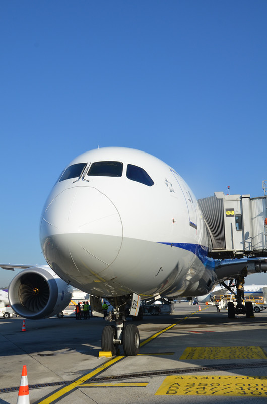 ANA_MXP_3 dicembre 2024 (8)