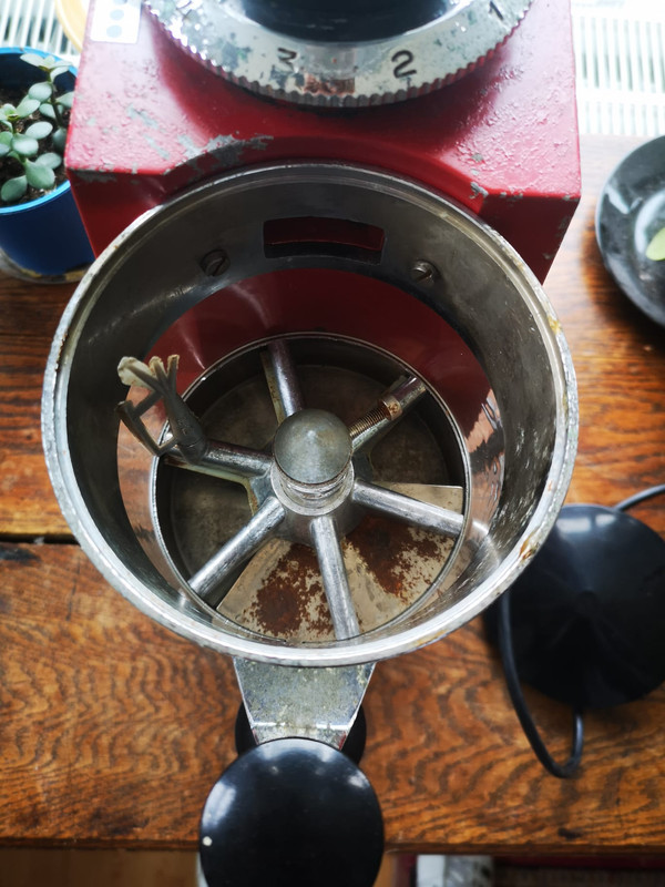 WhatsApp Image 2023-03-09 at 14.49.50 (1)