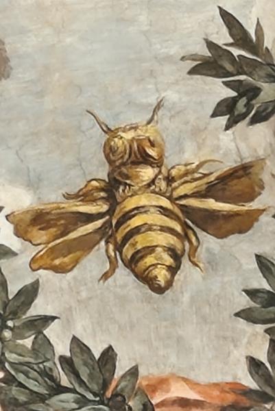 Roma: Villa Farnesina, Bernini&Barberini, Detroit Museum - Roma y Nápoles: Bernini, Giorgione y mucho más. (222)