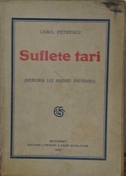 Suflete Tari De Camil Petrescu Comentariu Literar Rezumat Bacalaureat