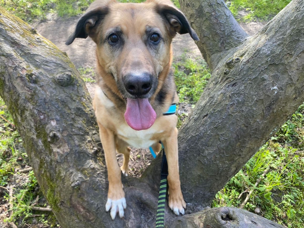 photo_2021-04-26_18-01-18