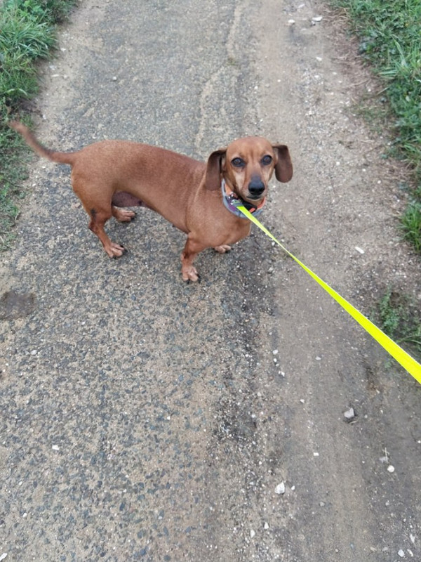 [Image: image000000-12.jpg]