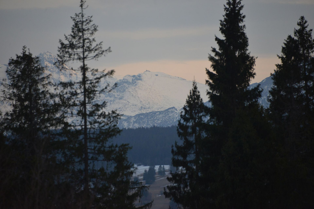 DSC_2166.jpg