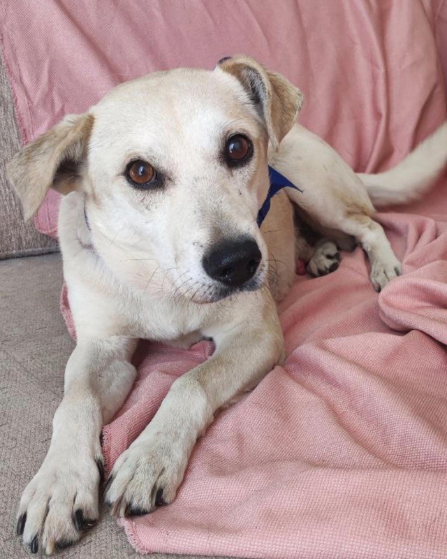 1857FB75-066B-4BC4-8A18-33C039AF7901