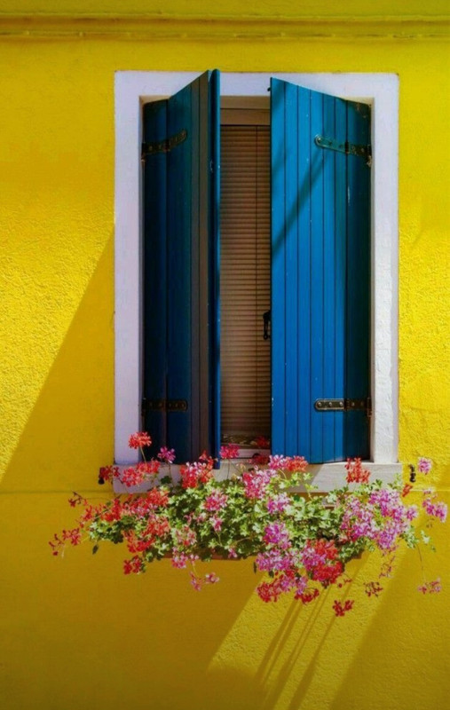 Screenshot_20240429_213129_Pinterest