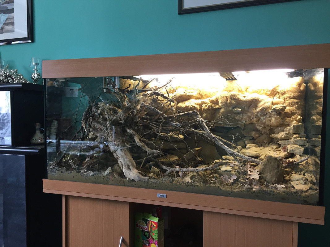 allestimento aprile 2018 (38)