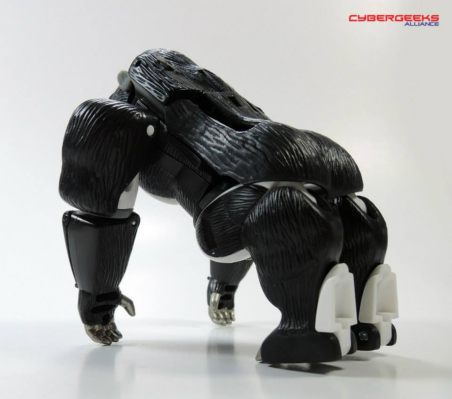 10387293_914085688603324_4788030654976041327_n