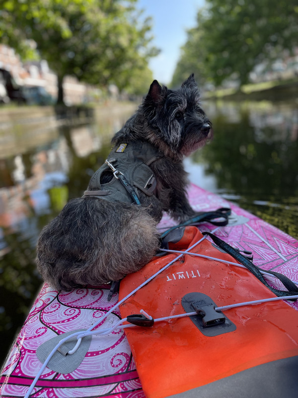 41E93C90-DBAD-4108-AB35-17C380433795