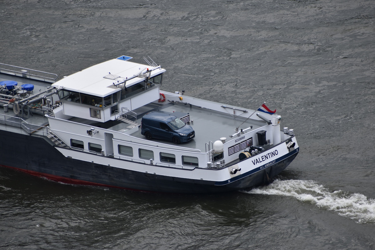 2022.06.27e1d Schiff Valentino (1940x1293)