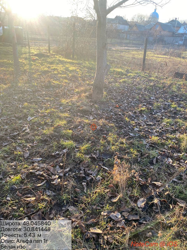 photo 29 2026 03 04 22 36 48