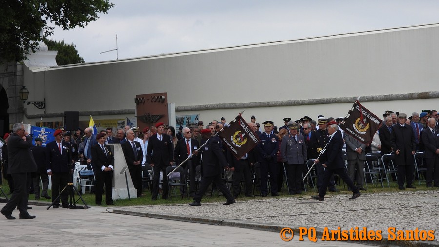 505785262-2427593920956118-8104322924390025478-n