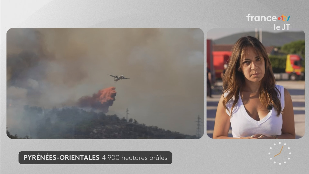 Journal 08h00 (France 2) 2026 07 07 06 55 12 ts snapshot 09 29 562
