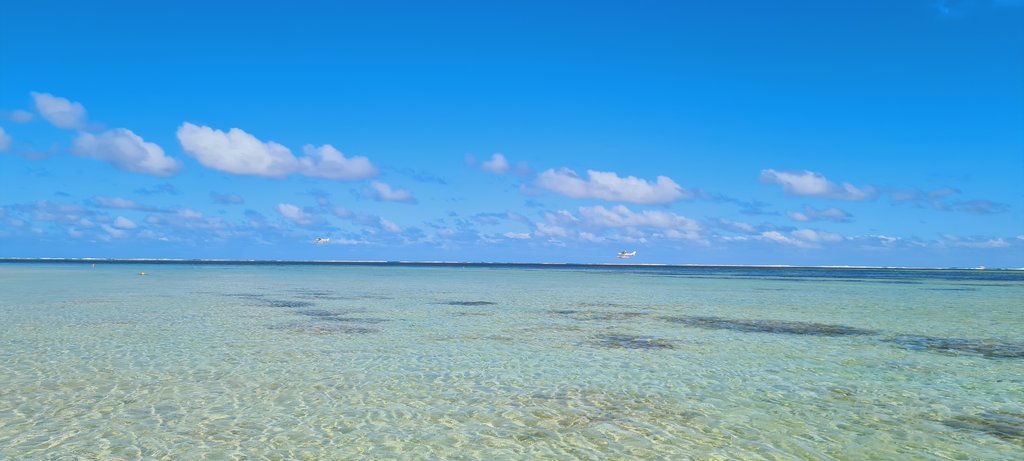 Isla Mauricio: por y para el placer - Blogs de Mauricio - TIERRA DE LOS 7 COLORES- LE ROCHER DE MACONDÉ - PLAYA LA PRAIRIE (14)