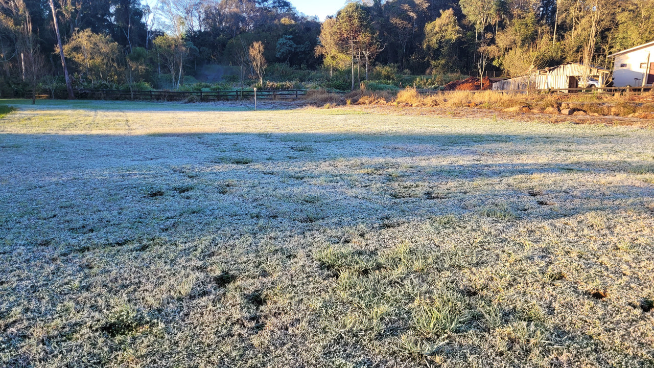 20240813-074620.jpg