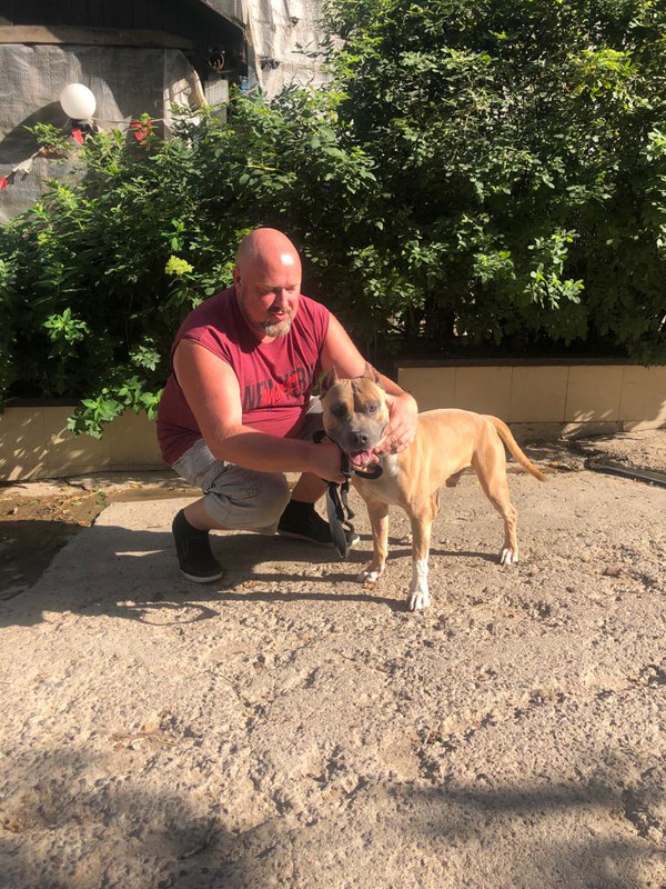 A027EDC7-3669-4CB5-BE81-680C4EDBC1A8